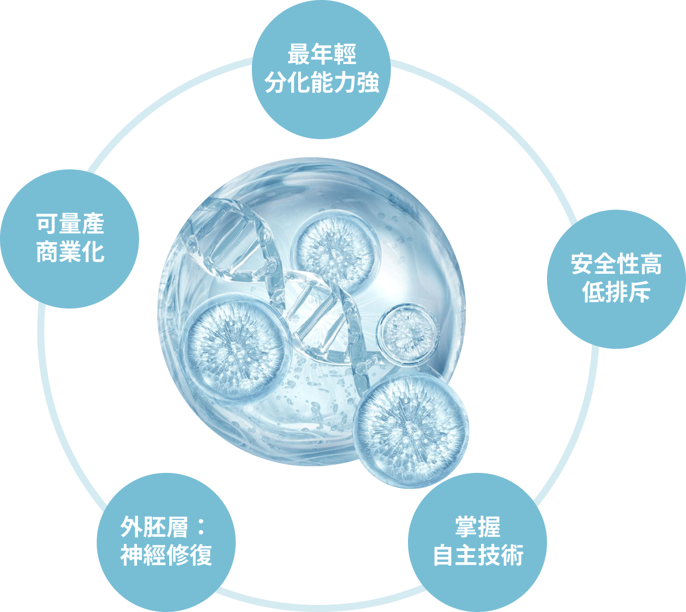 再生醫療應用｜羊水幹細胞/外泌體(old) - 永立榮生醫