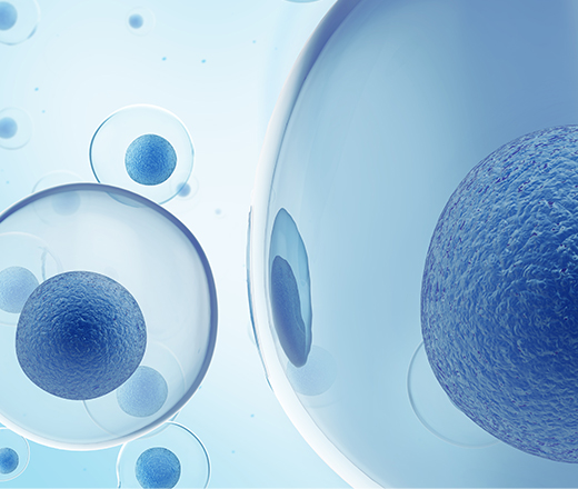 幹細胞| 臍帶血| 嗅幹細胞| 脂肪幹細胞| 造血幹細胞- 永立榮生醫